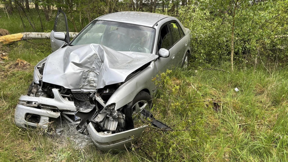 Pijany kierowca uderzył w drzewo w Grzepnicy
